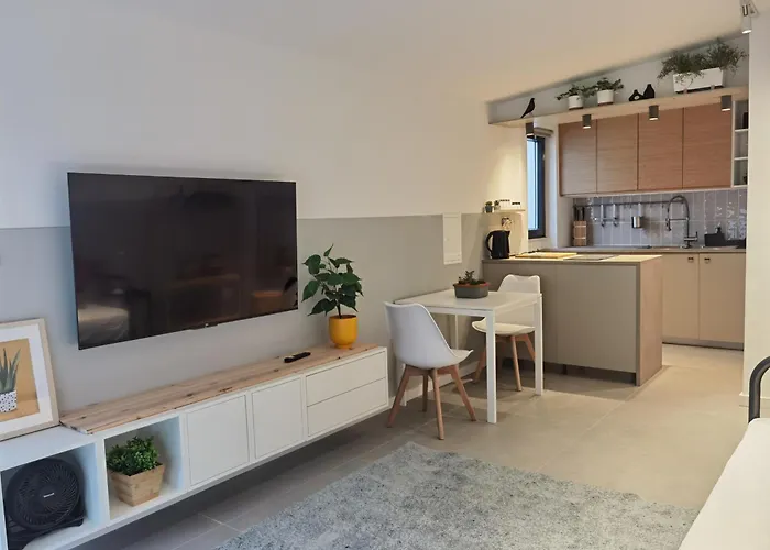 Casa Alegria 公寓 奥埃拉斯