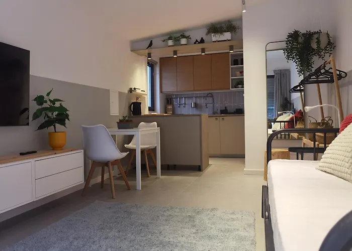 Casa Alegria 公寓 奥埃拉斯